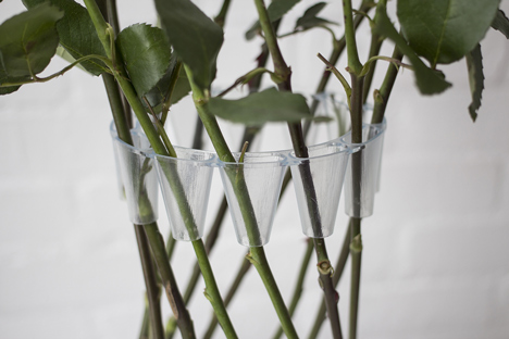 Crown Vase by Lambert Rainville creates freestanding flower arrangements