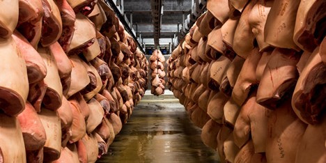 Danish Crown Slaughterhouse photography by Alastair Philip Wiper