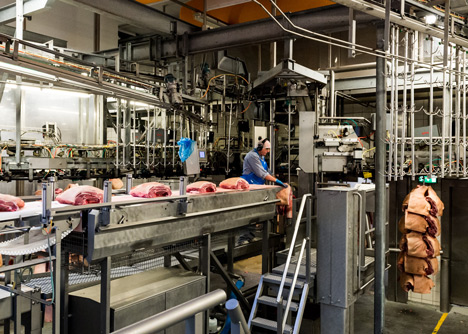 Danish Crown Slaughterhouse photography by Alastair Philip Wiper
