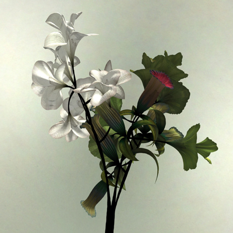 Digital flower animation by Daniel Brown based on exhibits at Dundee museum
