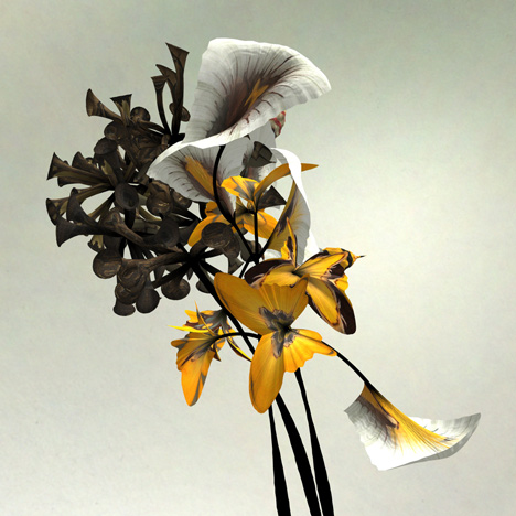 Digital flower animation by Daniel Brown based on exhibits at Dundee museum