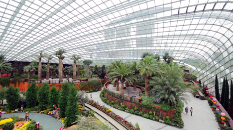 Gardens by the Bay by Wilkinson Eyre in Singapore