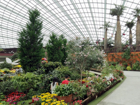Gardens by the Bay by Wilkinson Eyre in Singapore