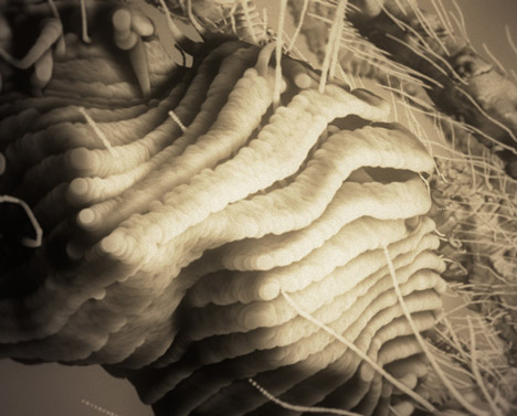 Max Cooper Fragments of Self music video by Nick Cobby