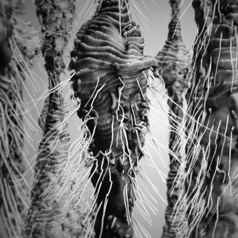 Max Cooper Fragments of Self music video by Nick Cobby