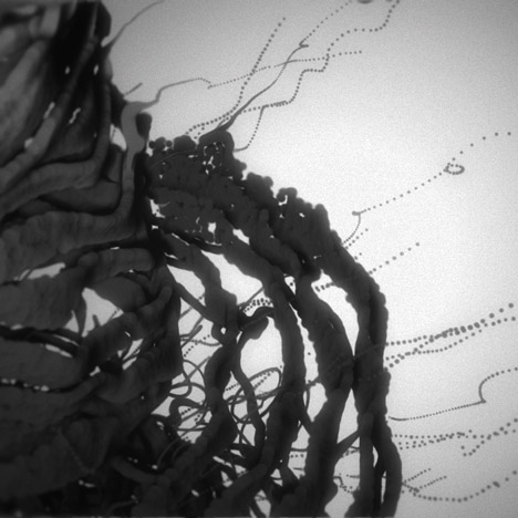 Max Cooper Fragments of Self music video by Nick Cobby
