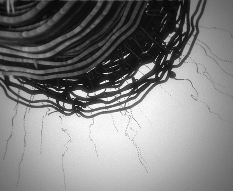 Max Cooper Fragments of Self music video by Nick Cobby