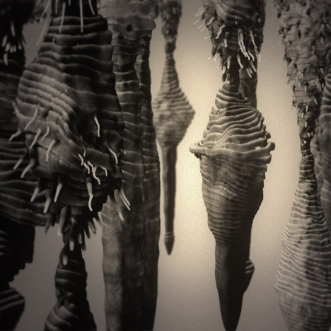 Max Cooper Fragments of Self music video by Nick Cobby