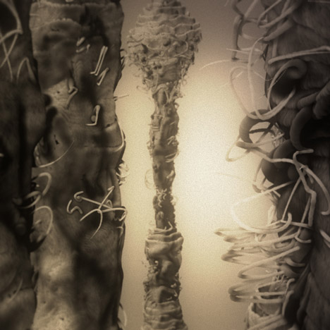 Max Cooper Fragments of Self music video by Nick Cobby