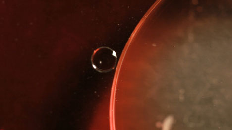 Quenum 5AM music video by False Manners Productions