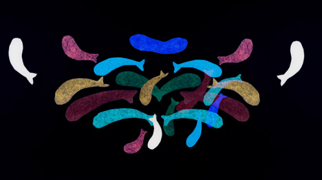 Catch Of The Day music video by Isobel Knowles for Sally Seltmann