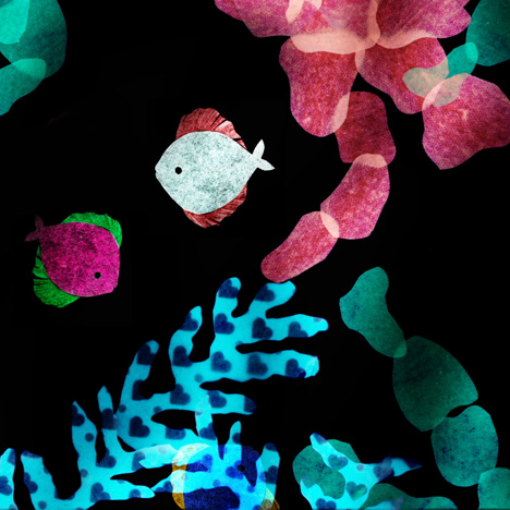 Catch Of The Day music video by Isobel Knowles for Sally Seltmann