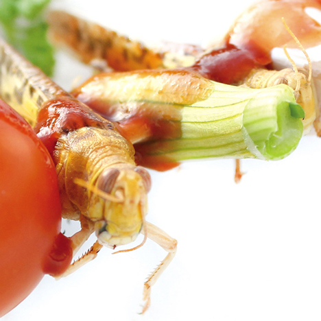 Entomo website design promotes insects as food