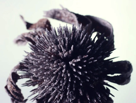 How To Be music video by Maxim and Katia Mezentseva for Cetranger