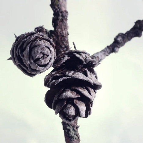 How To Be music video by Maxim and Katia Mezentseva for Cetranger