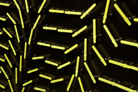 Mechanical Mirrors by Daniel Rozin replicate images using everyday objects
