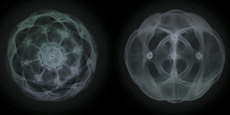 RCA graduate Dagny Rewera uses soap and light to visualise sound