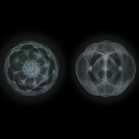 RCA graduate Dagny Rewera uses soap and light to visualise sound