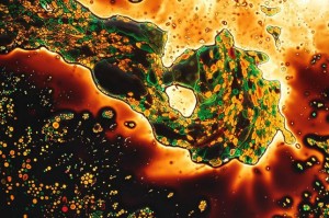 Shamees Aden Amoeba protocell running shoes: visualisation of protocells forming