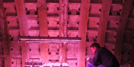Underground farm built in tunnels 12 storeys beneath London
