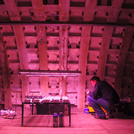 Underground farm built in tunnels 12 storeys beneath London