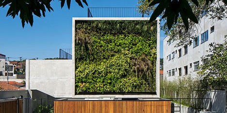 Wall of bushy plants fronts Sao Paulo housing block by TACOA