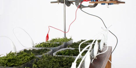 Worlds first moss powered radio