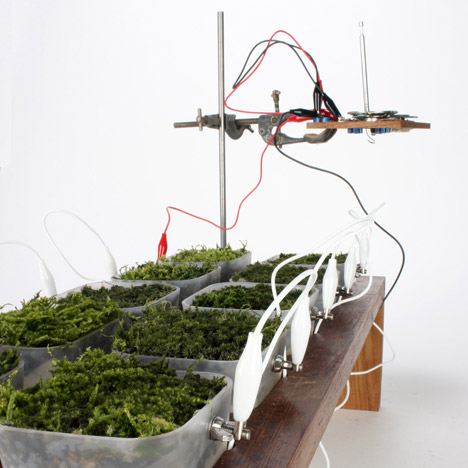 Worlds first moss powered radio