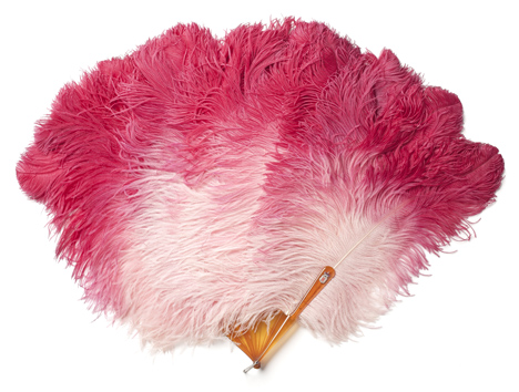 Feathers and plumage in fashion celebrated at Antwerp exhibition