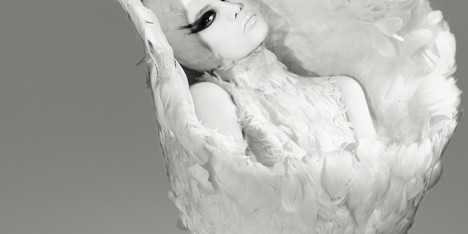 Feathers and plumage in fashion celebrated at Antwerp exhibition