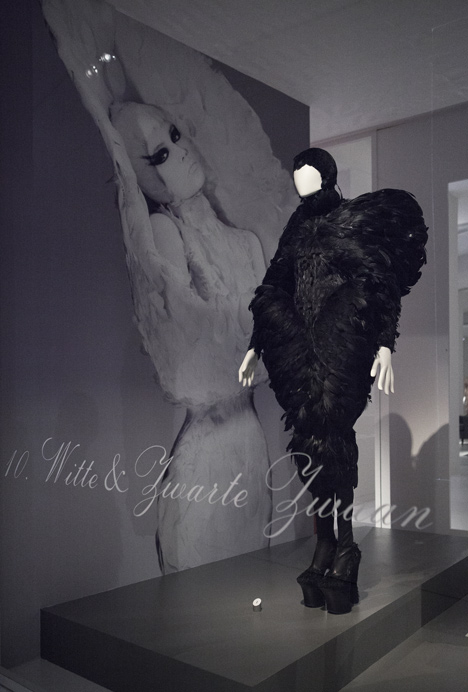 Feathers and plumage in fashion celebrated at Antwerp exhibition