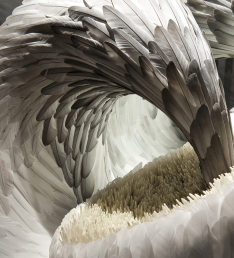 Feathers and plumage in fashion celebrated at Antwerp exhibition