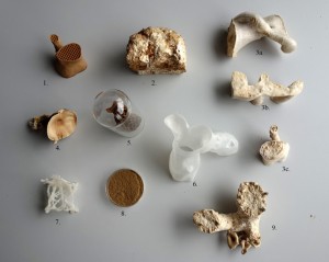 Eric Klarenbeek interview on furniture made from 3D-printed fungus