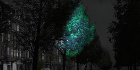 Swop streetlights with luminous trees - Daan Roosegaarde at SXSW