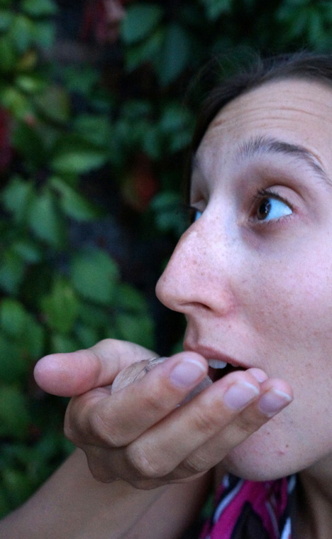 Edible water bottle uses algae to create biodegradable alternative to plastic containers