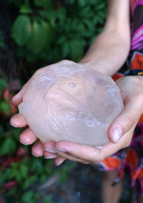 Edible water bottle uses algae to create biodegradable alternative to plastic containers