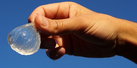 Edible water bottle uses algae to create biodegradable alternative to plastic containers