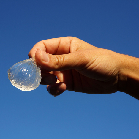 Edible water bottle uses algae to create biodegradable alternative to plastic containers