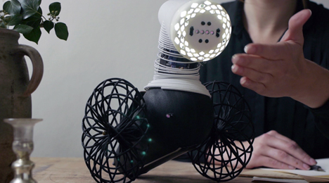 Species of Illumination interactive lights go in search of humans and dark spots