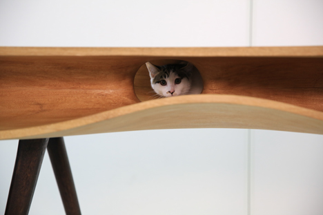 CATable by Hao Ruan_dezeen_4