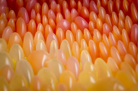 3D-printed chaise longue by Neri Oxman forms a multi-coloured cocoon