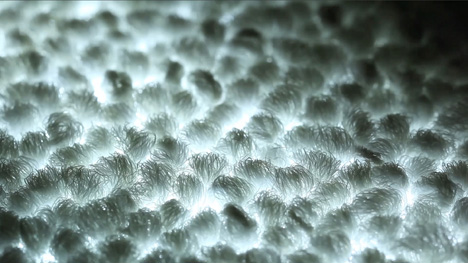 Philips and Desso luminous carpet