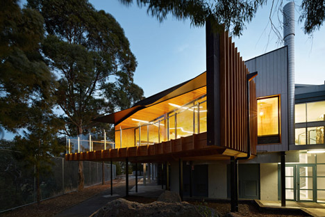 Timber-clad school library extended into the tree tops by Branch Studio Architects