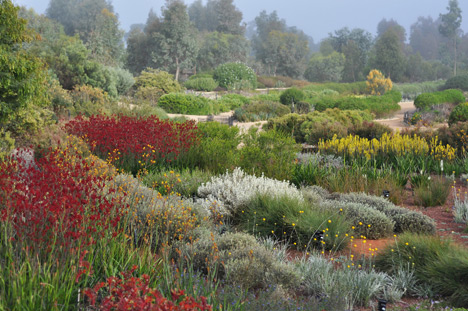 The Australian Garden (Australia), by Taylor Cullity Lethlean + Paul Thompson