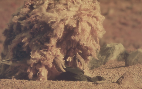 Flying Lotus Phantasm Markus Hofko Wool Flying Lotus