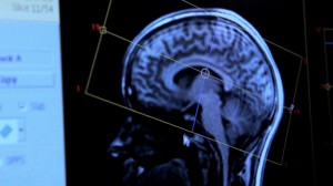 Brain Manufacturing by Merel Bekking