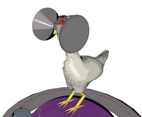 Chicken wearing its virtual reality headset and standing on the ball