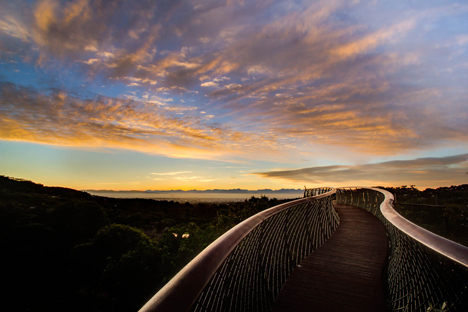 Boomslang walkway by Mark Thomas and Henry Fagan