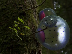 Designing for the Sixth Extinction by Alexandra Daisy Ginsberg