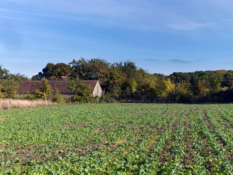 Long Sutton Studio by Cassion Castle Architects with Tom Lloyd
